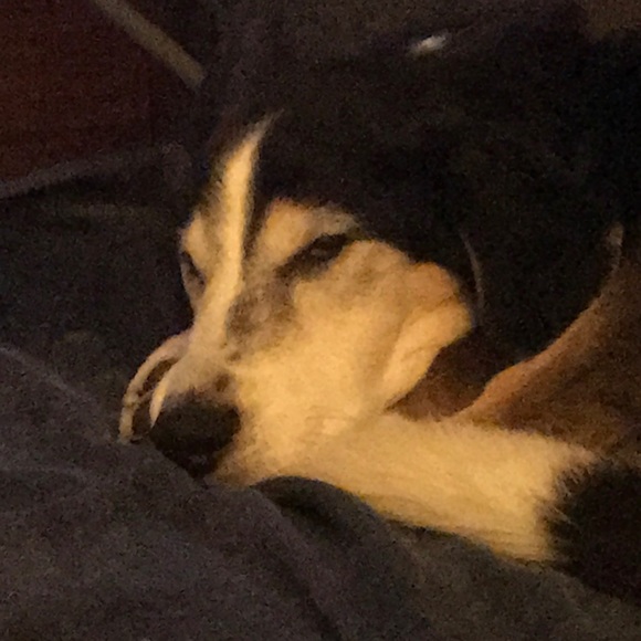 Meet your Posher, Chris - Picture 1 of 1